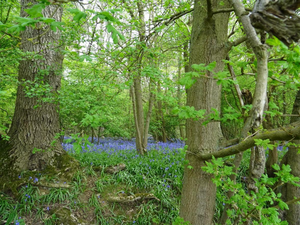 Oakwrights Lejlighed Terling Eksteriør billede